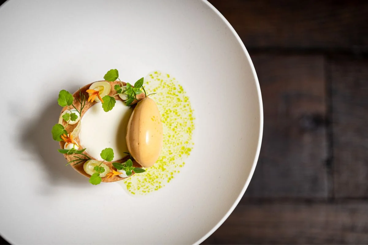 Dessert met panna cotta, ijs en kruidenolie op een wit bord